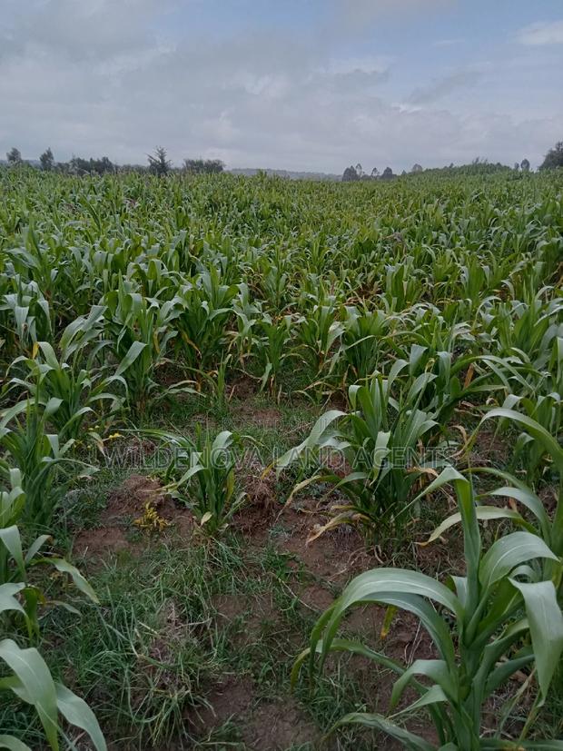 1 Acre on Sale Mwendandu Kinangop