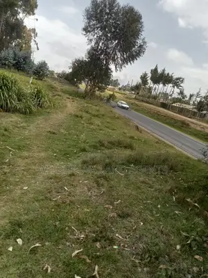 1 Acre on Sale Mwendandu Kinangop