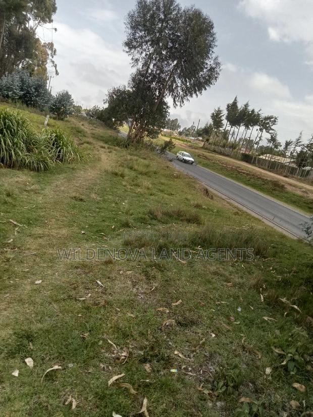 1 Acre on Sale Mwendandu Kinangop - thumbnail 2
