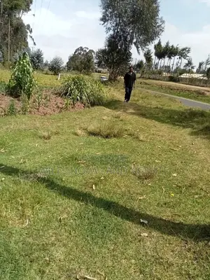 1 Acre on Sale Mwendandu Kinangop