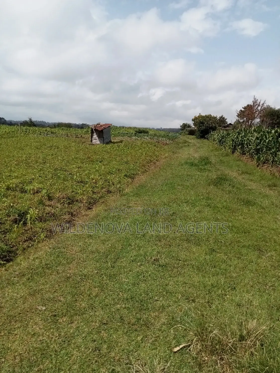 1 Acre on Sale Mwendandu Kinangop
