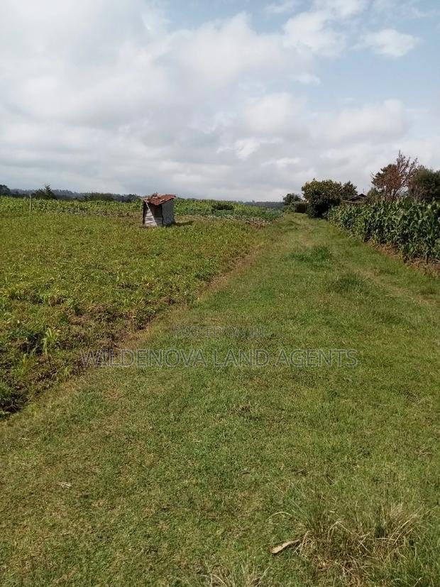 1 Acre on Sale Mwendandu Kinangop - thumbnail 5