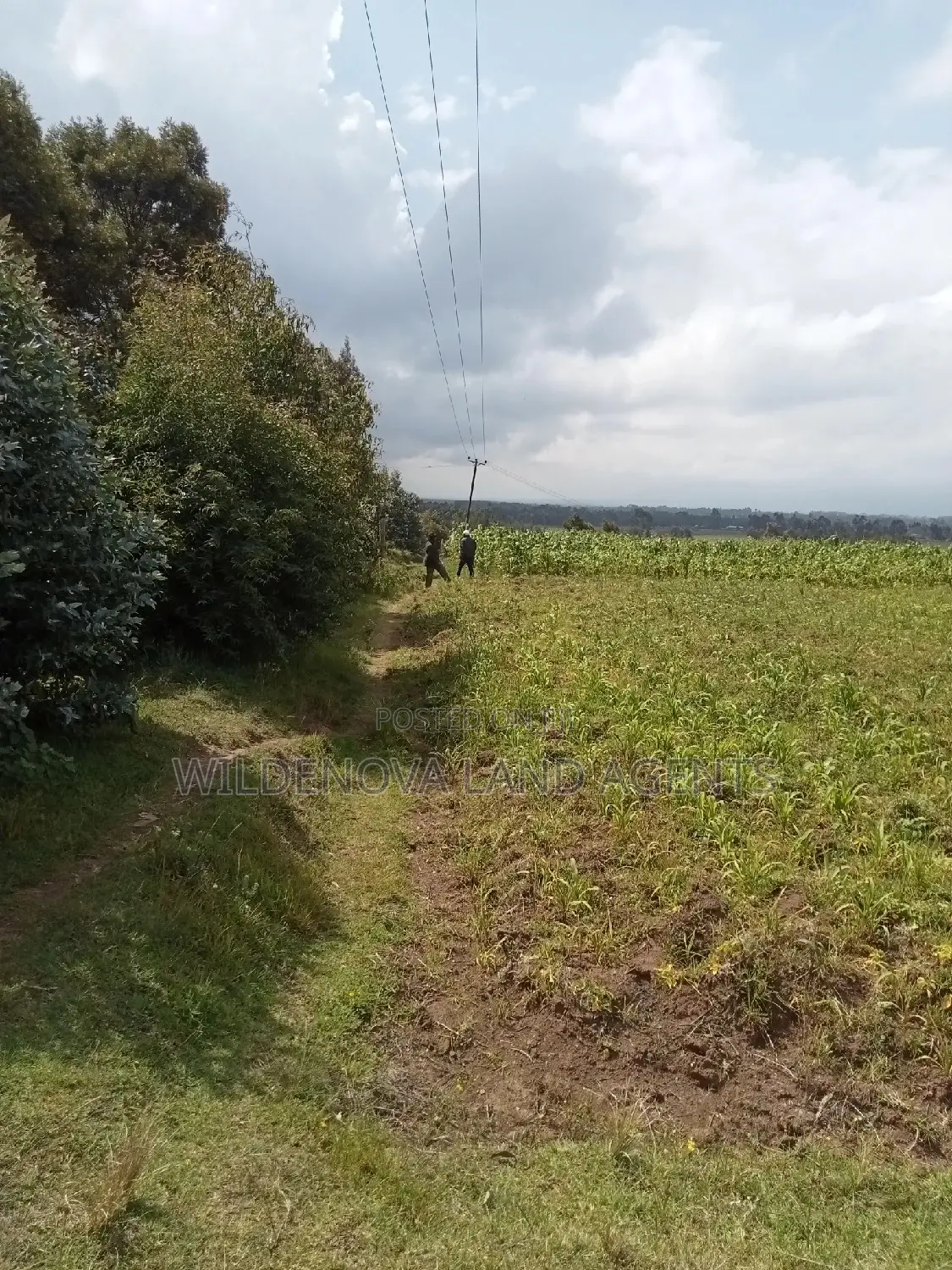 1 Acre on Sale Mwendandu Kinangop