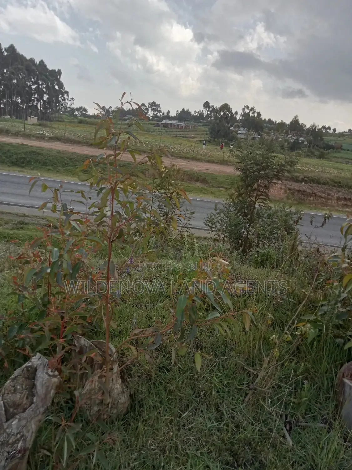 1 Acre on Sale Mwendandu Kinangop
