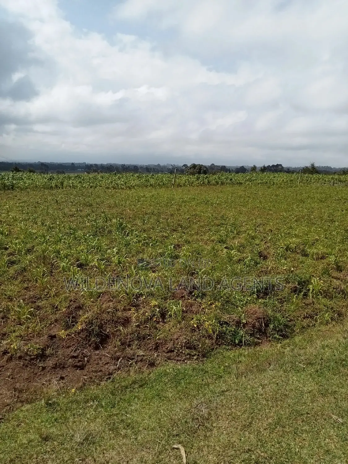 1 Acre on Sale Mwendandu Kinangop