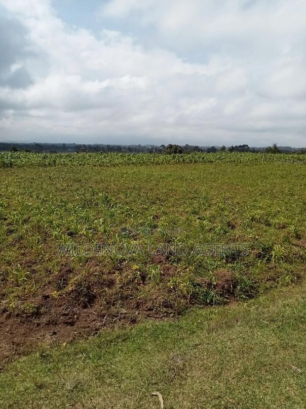 1 Acre on Sale Mwendandu Kinangop - thumbnail 6