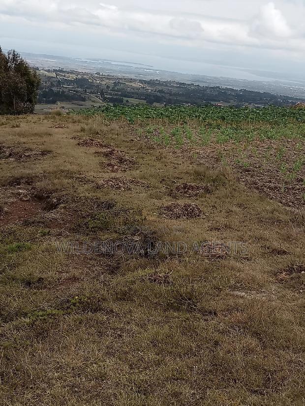 2 Acres of Land Sale at Kenyatta Road - thumbnail 4