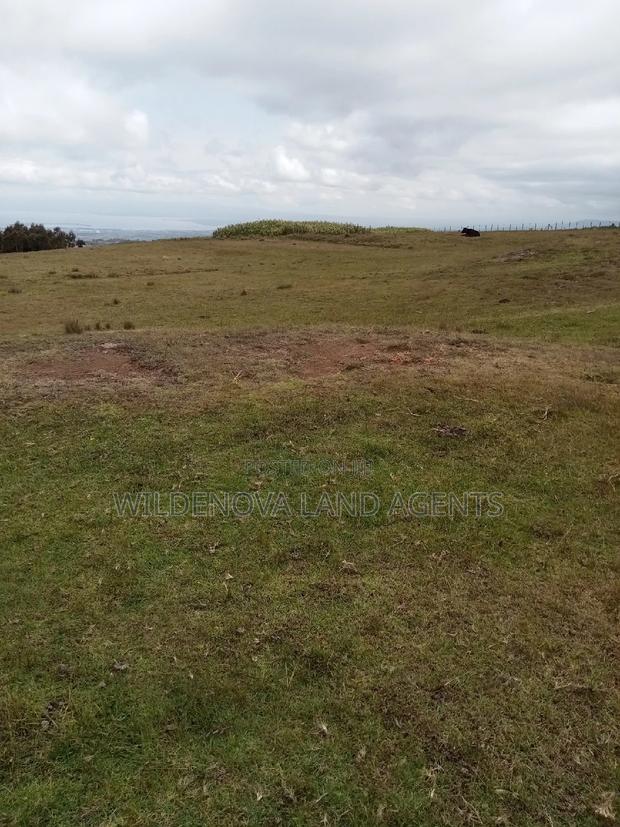 2 Acres of Land Sale at Kenyatta Road - thumbnail 5