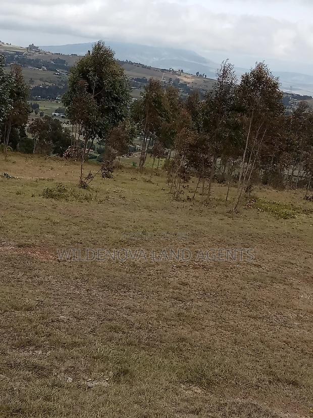 2 Acres of Land Sale at Kenyatta Road - thumbnail 2