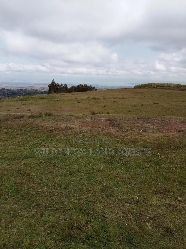 2 Acres of Land Sale at Kenyatta Road - thumbnail 6