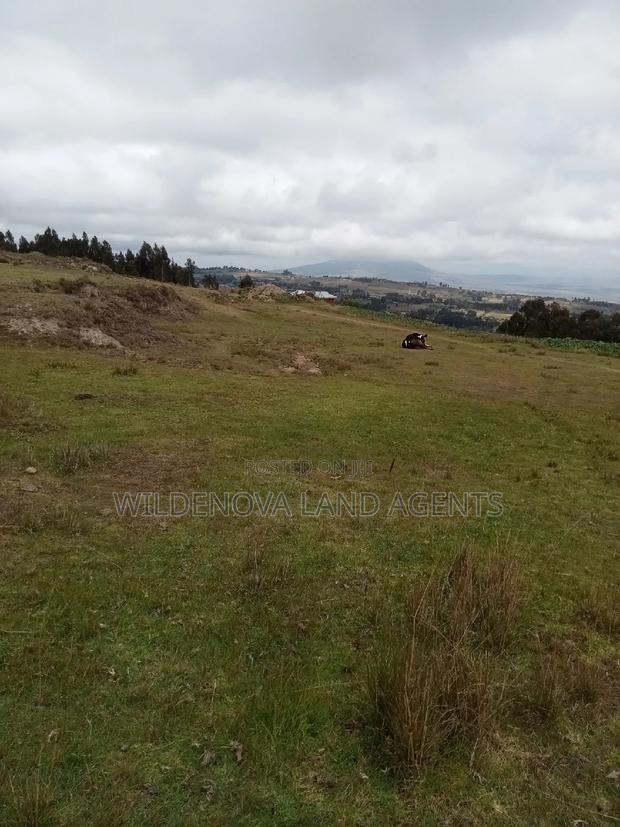 2 Acres of Land Sale at Kenyatta Road - thumbnail 7