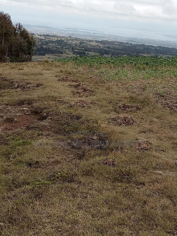 2 Acres of Land Sale at Kenyatta Road - thumbnail 3