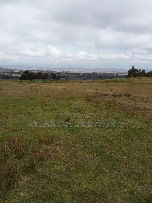 2 Acres of Land Sale at Kenyatta Road - thumbnail 8