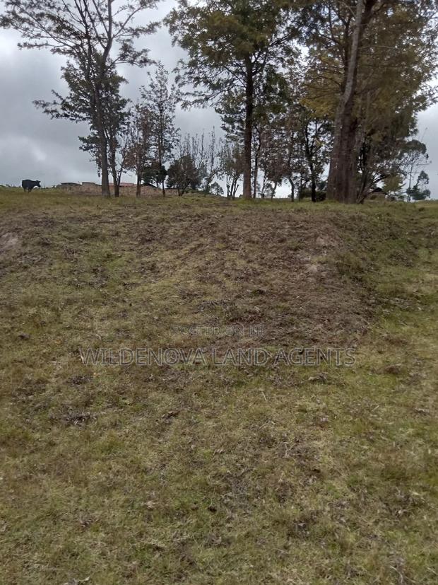 2 Acres of Land Sale at Kenyatta Road - thumbnail 10