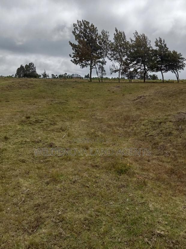 2 Acres of Land Sale at Kenyatta Road - thumbnail 11