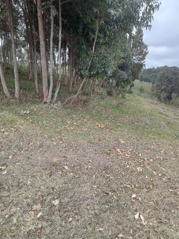 2 Acres of Land Sale at Kenyatta Road - thumbnail 12