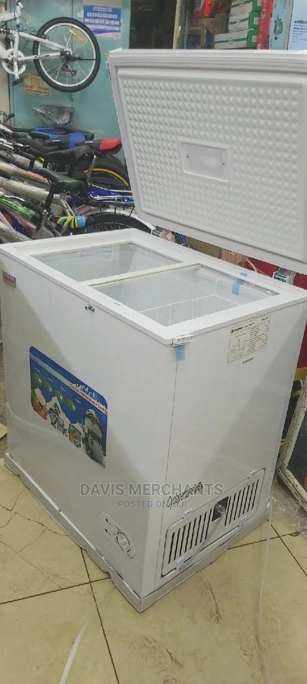 Premier Deep Freezer Units With 150L Capacity Power Saving