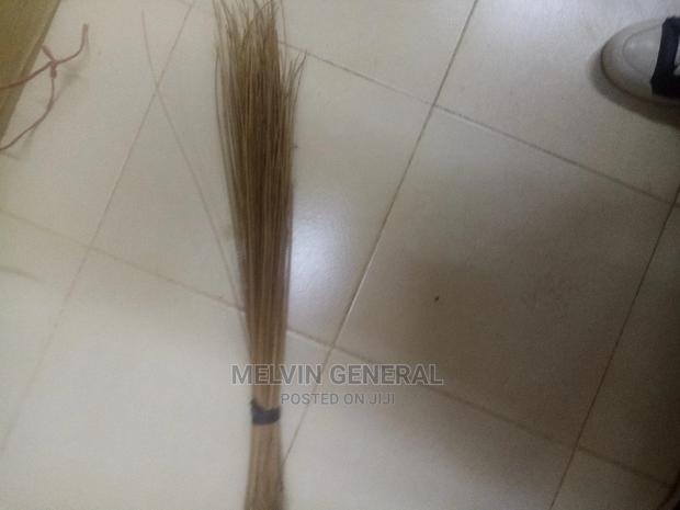 Sweeping Broom - main view