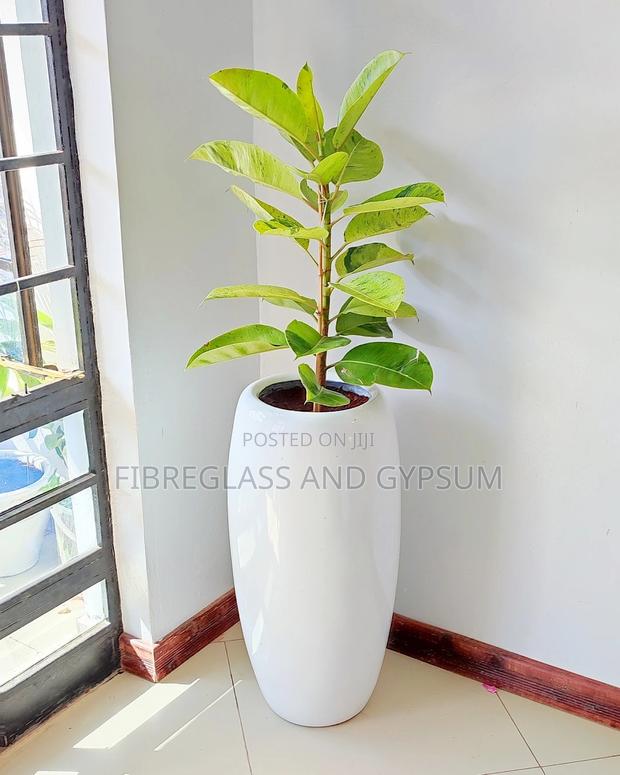 Fiber Pots and Planters - thumbnail 2