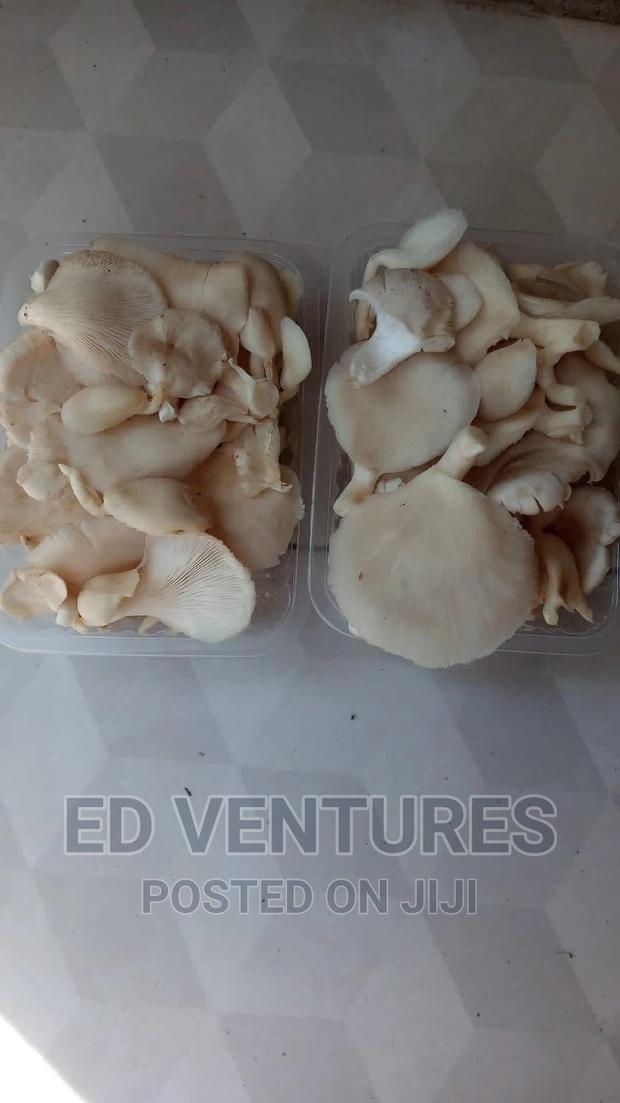 Oyster Mushrooms - thumbnail 3