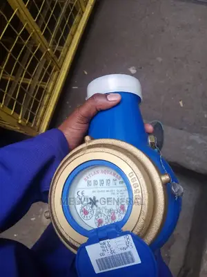Baylern Water Meter 2"