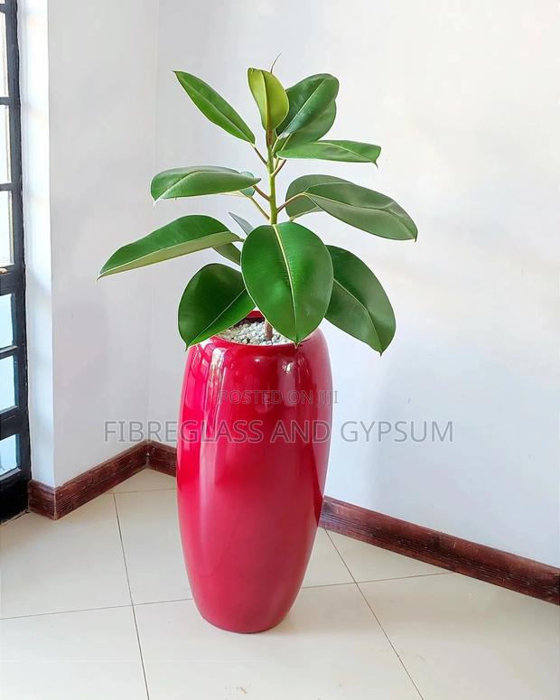 Fiber Pots and Palnters ( Canna Fiber Pot Design)