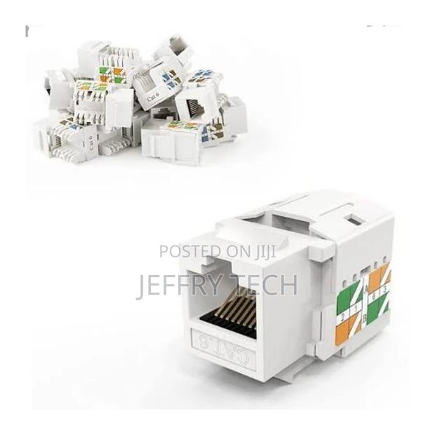 Double RJ45 Keystone Jack