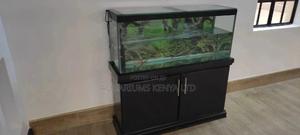 Black Aquarium With Stand - thumbnail 2