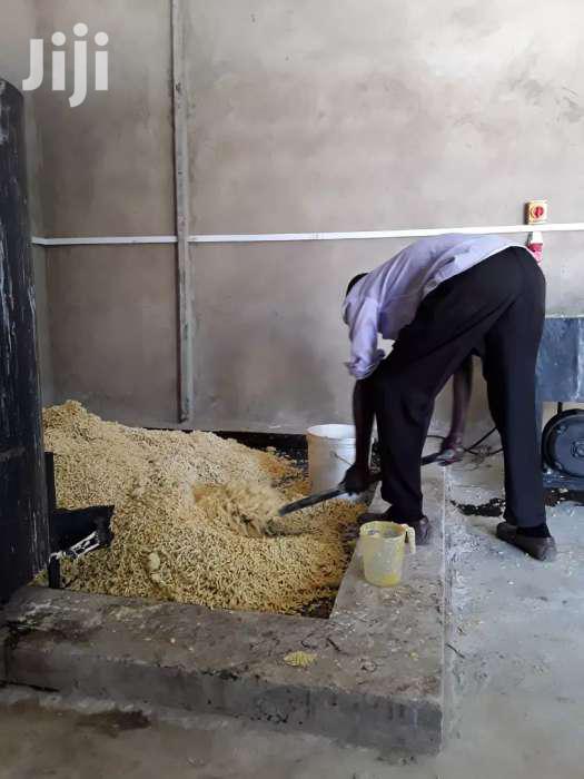 Soap Noodles - thumbnail 5