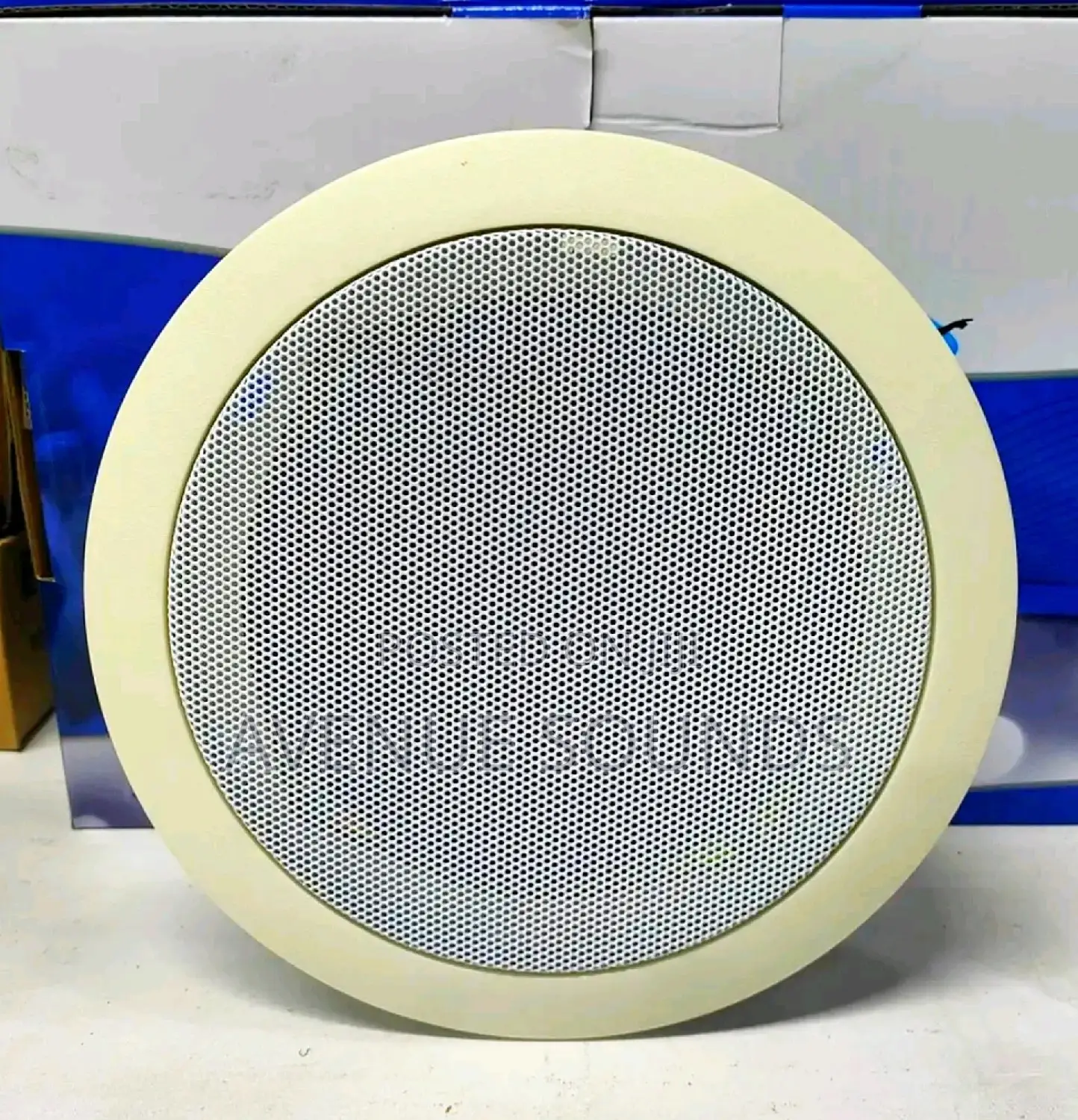 Ceiling Speakers