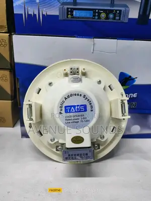 Ceiling Speakers