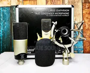 M Audio Studio Mic