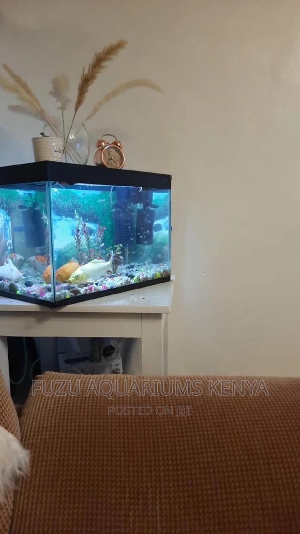 Aquariums Desk Top - main view