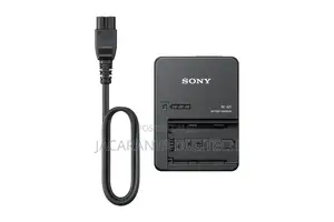 Sony Fz100 Replacement Battery Charger