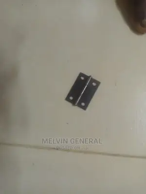 Ordinary Hinges 2"