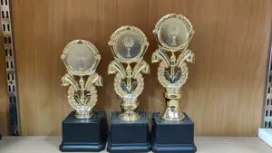 School Projects Competition Trophy Set of 3