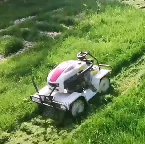 Remote Control Mower