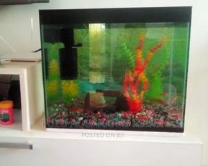 Aquarium 50L - thumbnail 2