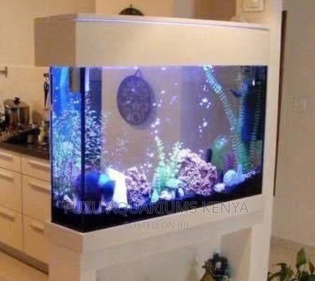 Partition Aquariums - main view