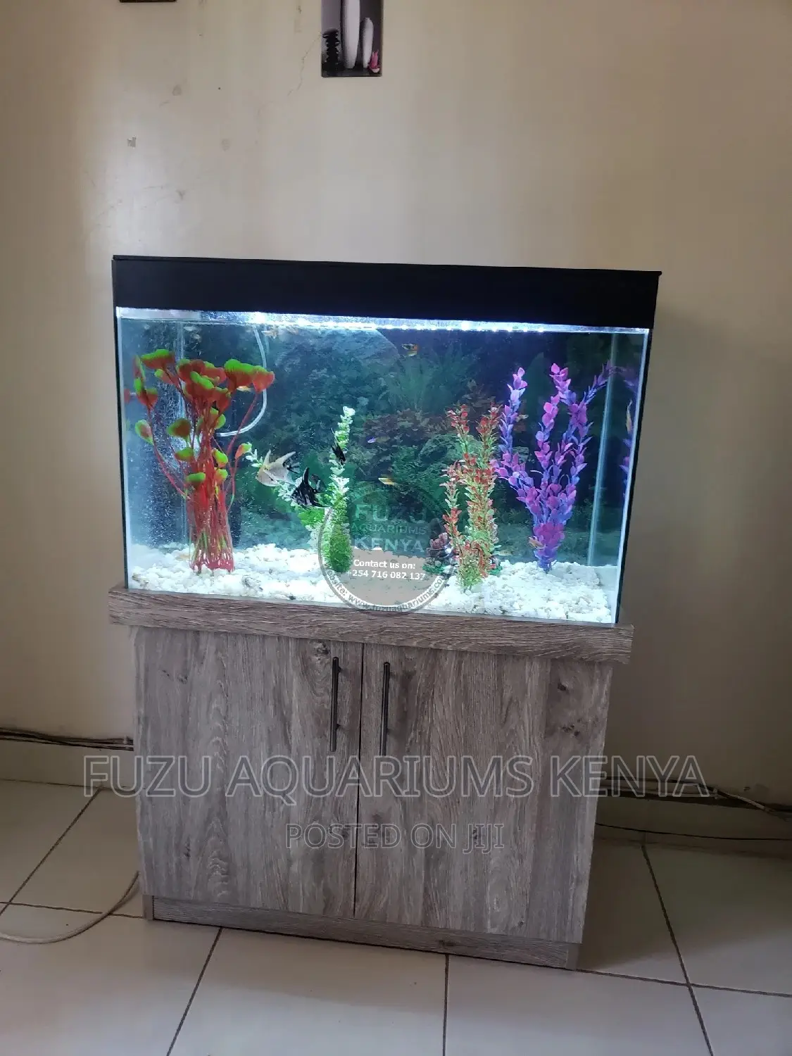 Aquarium Full Set Up and Stand