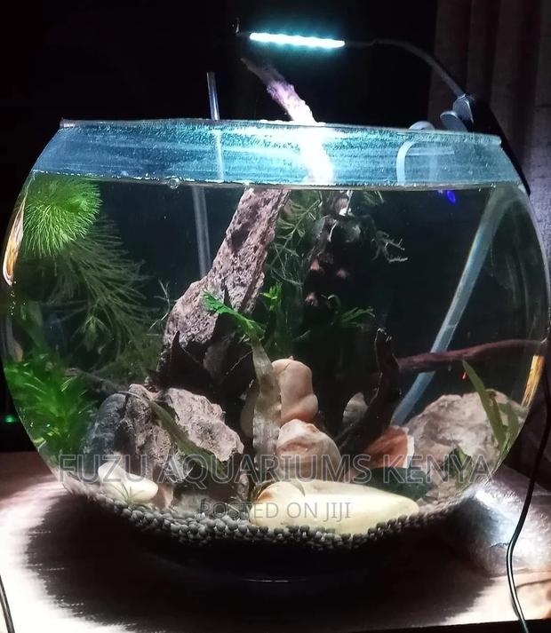20 Litres Fishbowl - main view