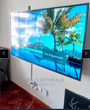 Tv Mount And Service