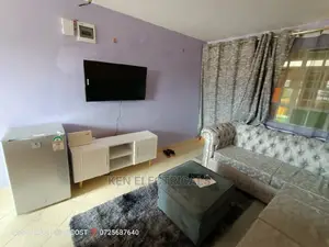 Tv Mount And Service