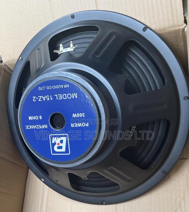 BM AZ2 300watts 15inch Midrange Speaker - thumbnail 3