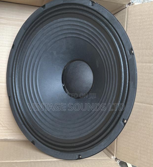 BM AZ2 300watts 15inch Midrange Speaker - thumbnail 4