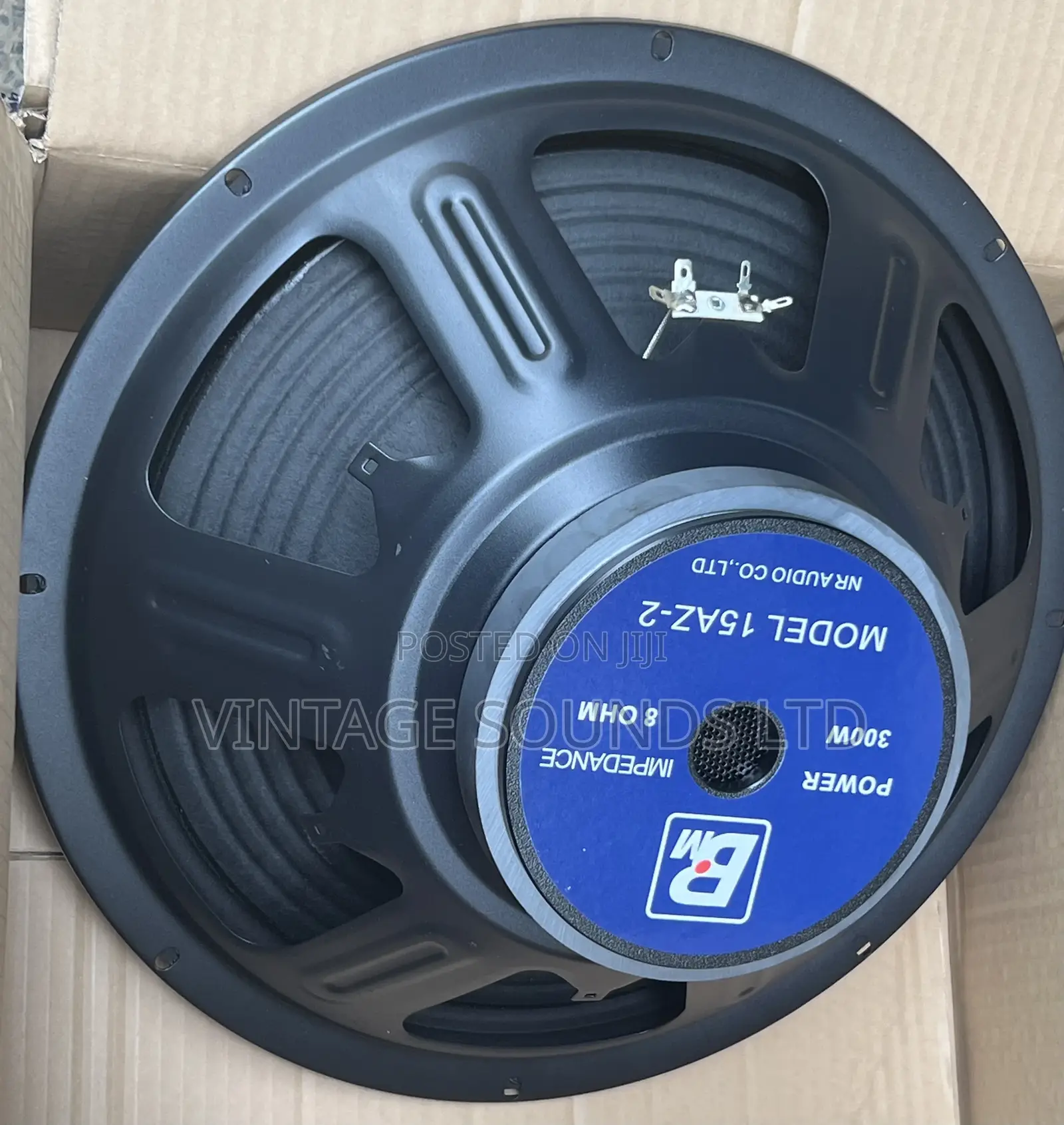 BM AZ2 300watts 15inch Midrange Speaker
