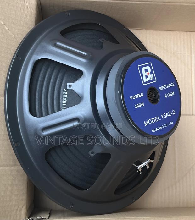 BM 15inch AZ2 Midrange Speaker - main view