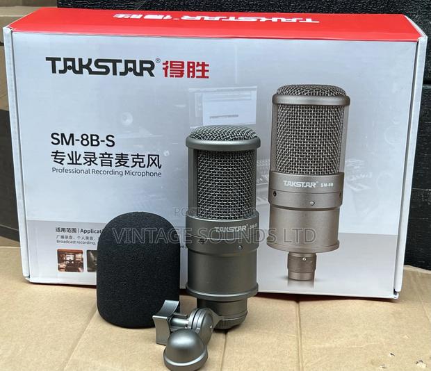 Sm8b Studio Takstar Microphone - main view