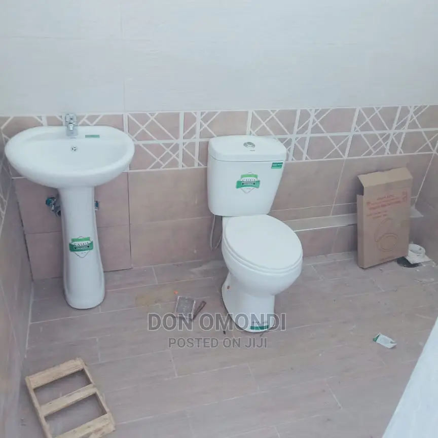 Professional Plumber CV