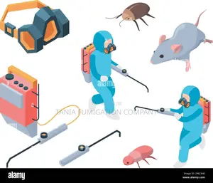 Rodent Fumigation